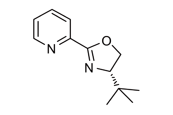 117408-98-7   | 2-[(4S)-4,5-dihydro-4-(1,1-dimethylethyl)-2-oxazolyl]-Pyridine