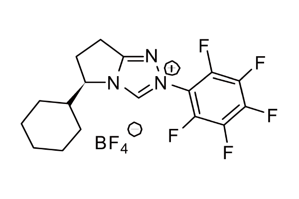 1318249-54-5   | (5R)-5-cyclohexyl-6,7-dihydro-2-(2,3,4,5,6-pentafluorophenyl)-5H-Pyrrolo[2,1-c]-1,2,4-triazolium tetrafluoroborate