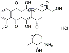 25316-40-9 | Doxorubicin hydrochloride