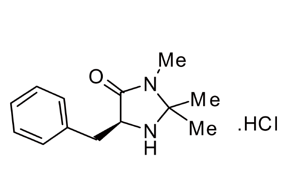 278173-23-2  | (5S)-2,2,3-Trimethyl-5-benzyl-4-imidazolidinone hydrochloride 