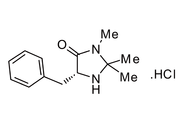 323196-43-6 | (5R)-2,2,3-Trimethyl-5-benzyl-4-imidazolidinone hydrochloride 