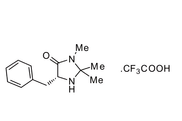 685128-78-3  | (5R)-2,2,3-Trimethyl-5-benzyl-4-imidazolidinone trifluoroacetic acid 